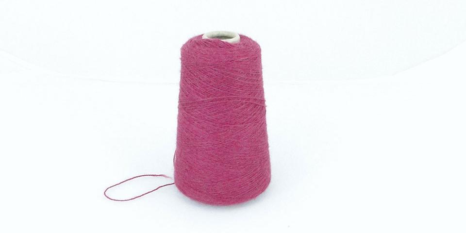 Rosa 8620