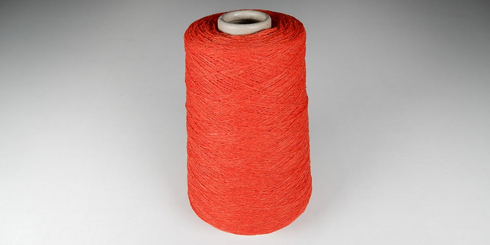 Karotte 841546