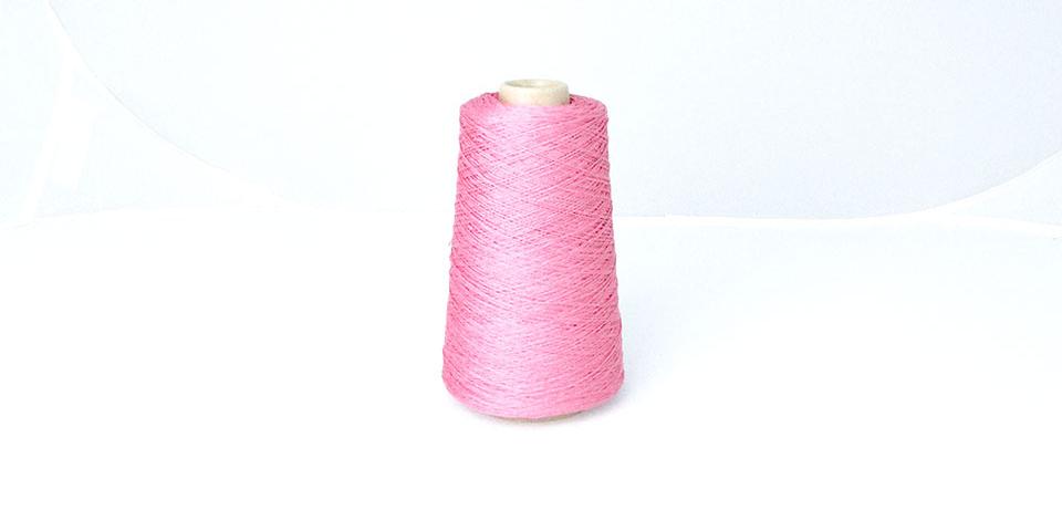 Rosa 317